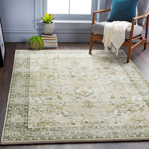 green traditional rug in a room with matching decor