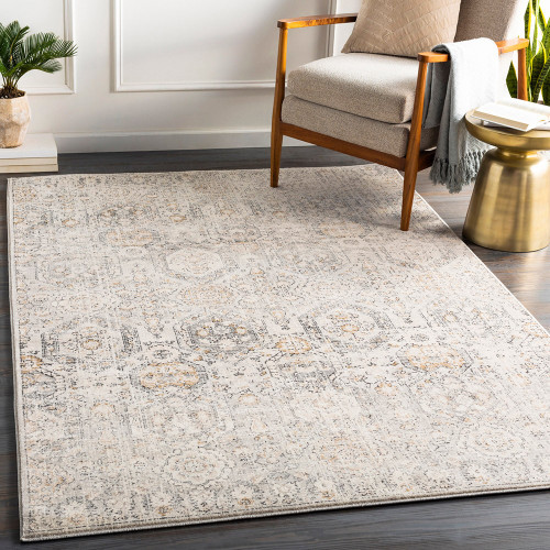 ivory traditional rug in a room with matching decor