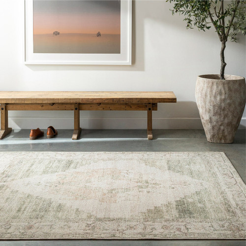 sage traditional rug in a room with matching decor