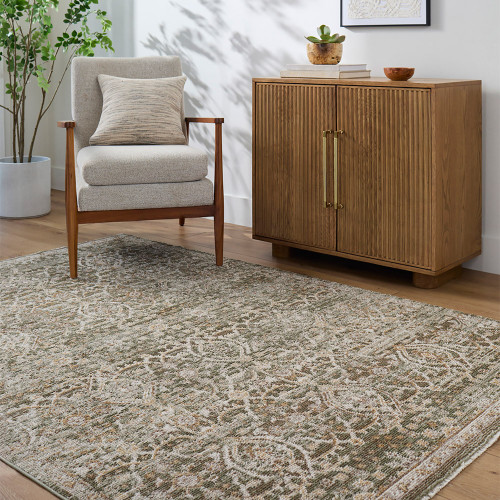 olive abstract rug in a room with matching decor