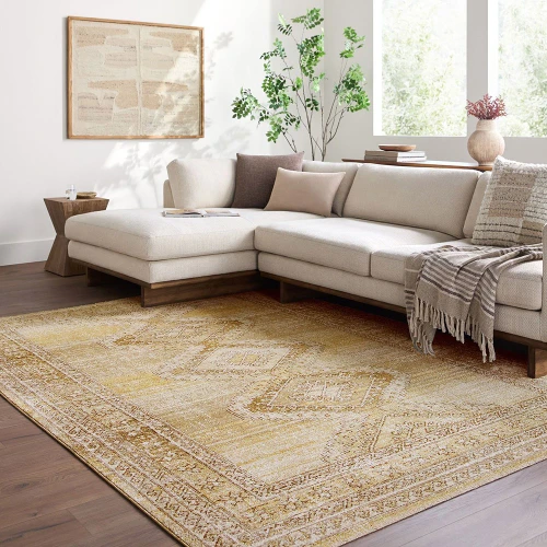 Fifth Avenue Vintage Traditional Brown Rug