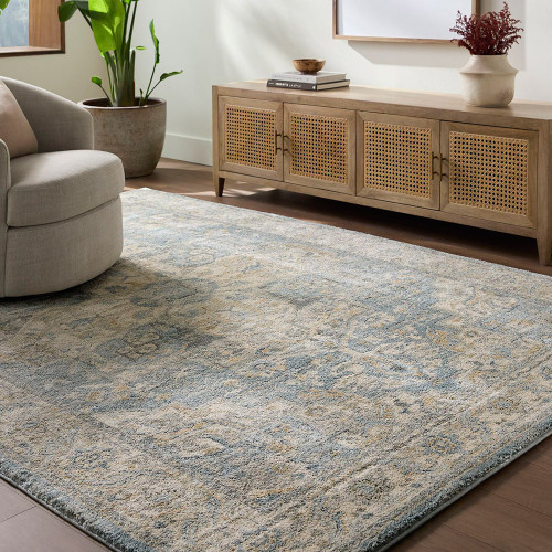 Avellino Vintage Traditional Boho Denim Rug