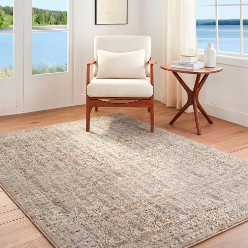 Arda Vintage Traditional Light Grey Rug