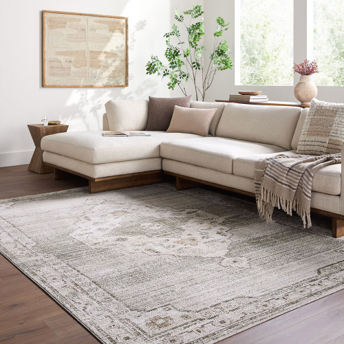 Fifth Avenue Vintage Traditional Grey Green Rug