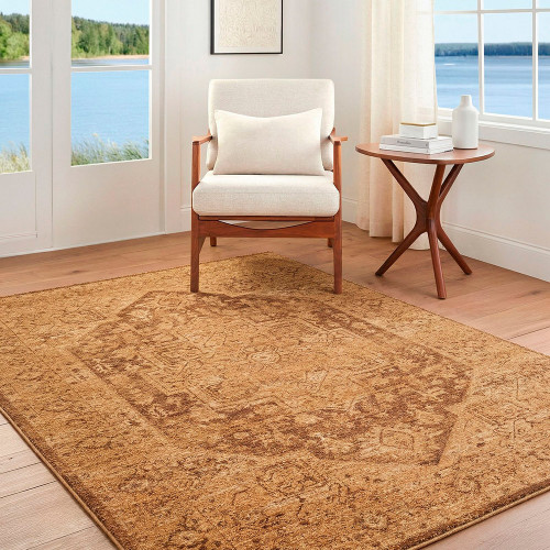 Cyrus Vintage Traditional Brown Rug