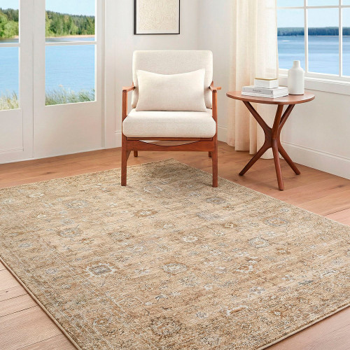 Penny 00 Vintage Traditional Brown Rug by Becki Owens x Livabliss