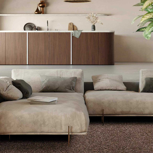 Twilight Thick Shaggy Rusty Brown Rug