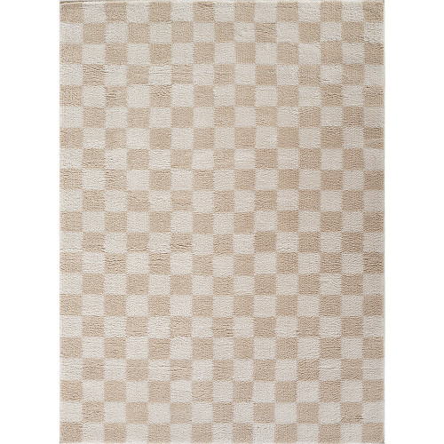 beige checker shaggy rug portrait
