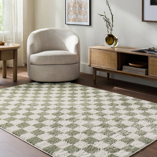 green checker shaggy rug in a room with matching decor