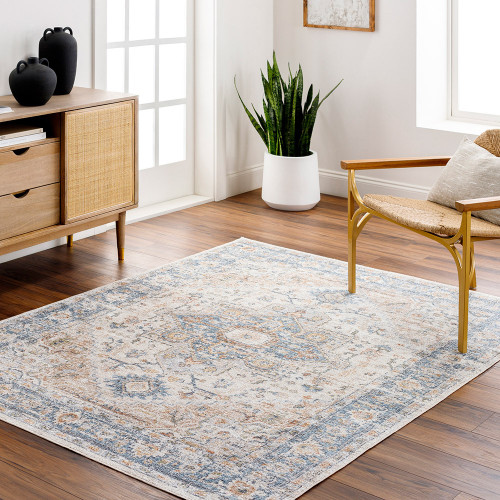 beige traditional rug in a room with matching decor