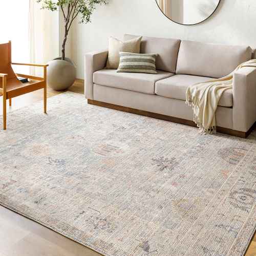 grey blue traditional rug in a room with matching decor