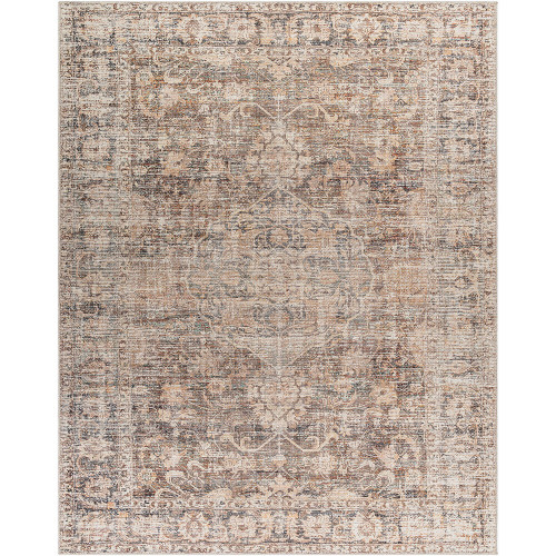 taupe traditional rug portrait