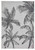 Indoor Garden Rug Miami A444 Cream Black