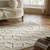 taupe wool rug closeup in a living room with natural decor