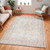 blush traditional rug in a room with matching decor