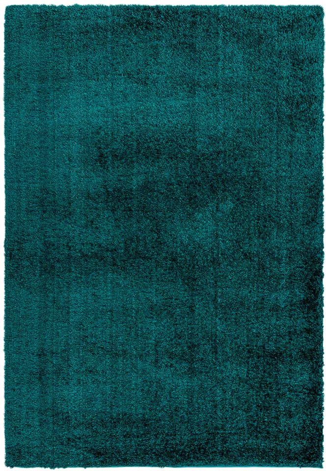 Payton Teal Shaggy Fluffy Rug