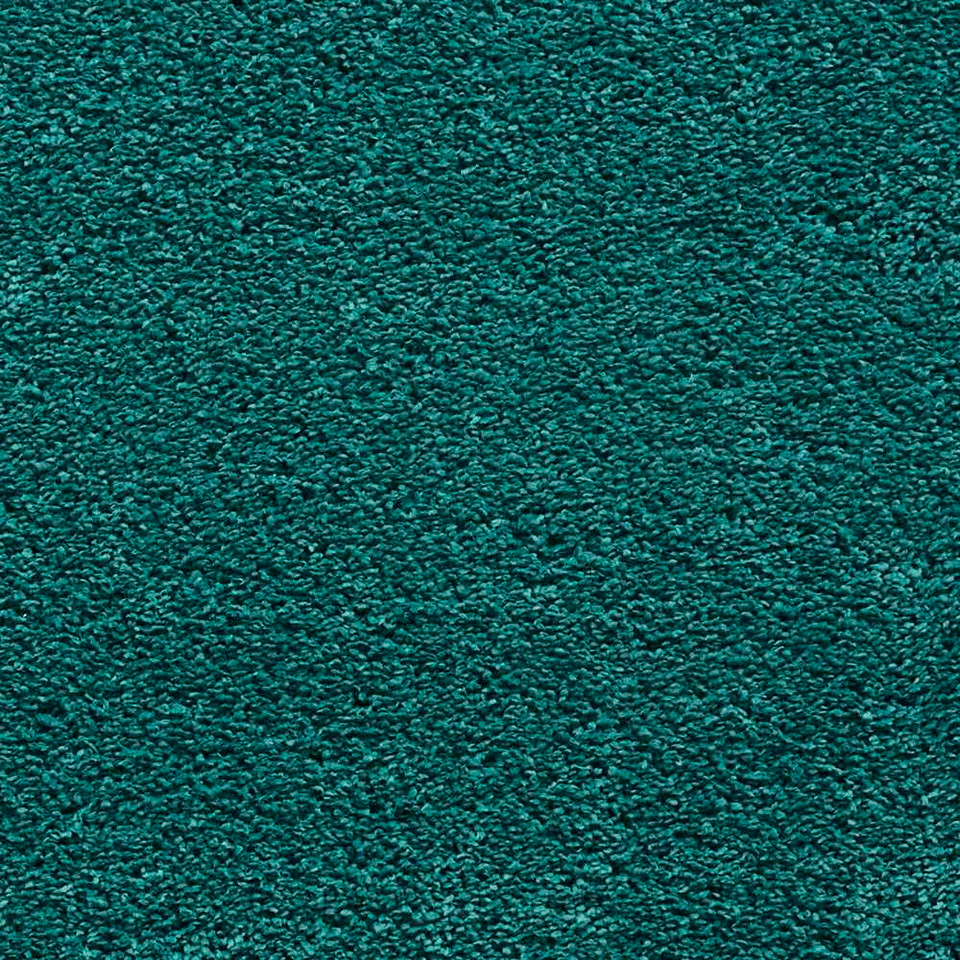 Sierra Shaggy Rug Jewel Green 9000