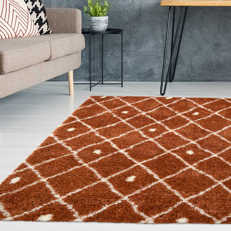 Snug Super Soft Shaggy Rug Nomadic Terra