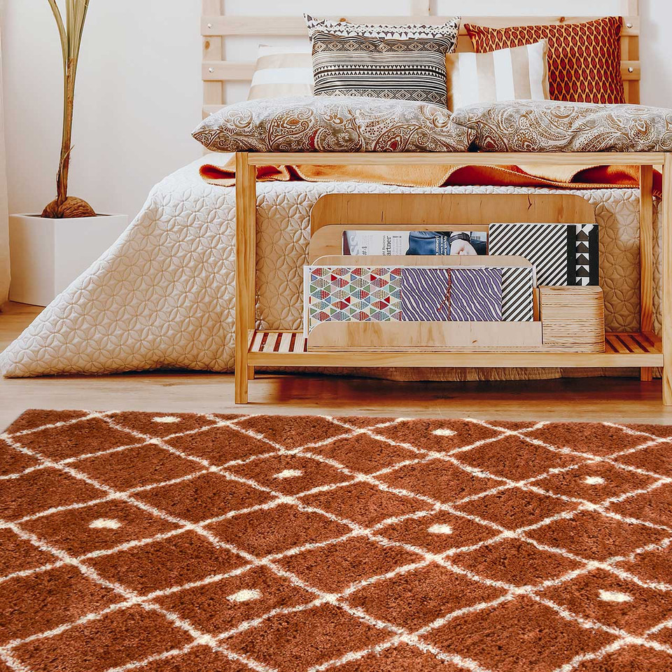 Snug Super Soft Shaggy Rug Nomadic Terra