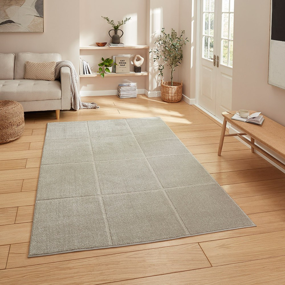 Elio Silver Modern Geometric Rug