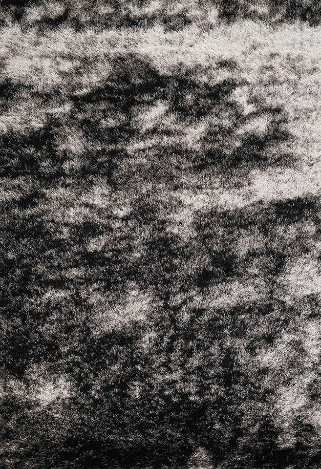 dark grey shaggy rug portrait
