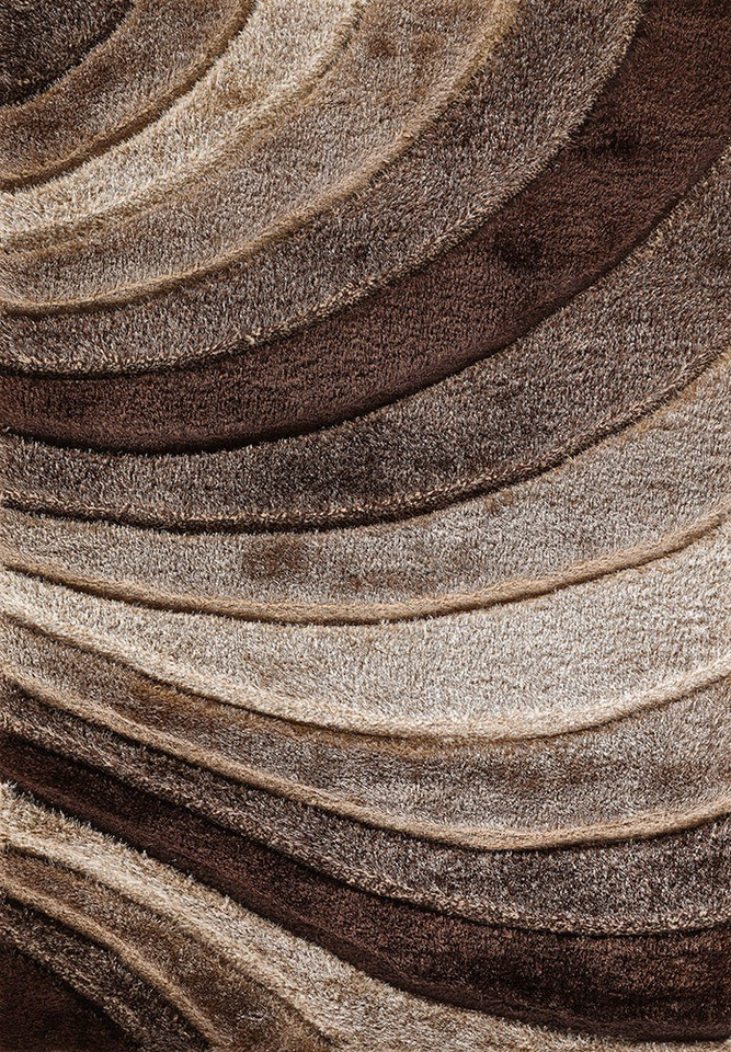 bronze shaggy rug portrait