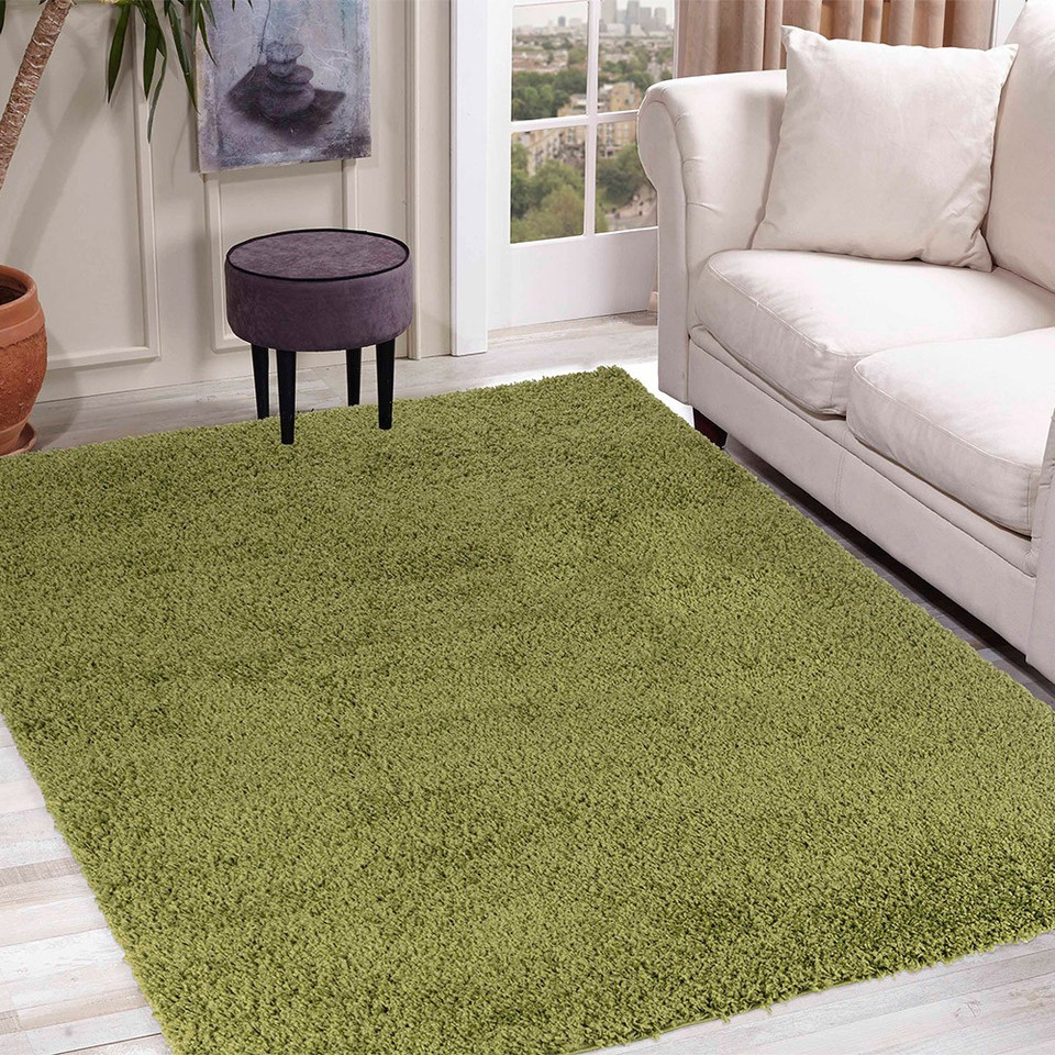 plain shaggy green rug in a living room