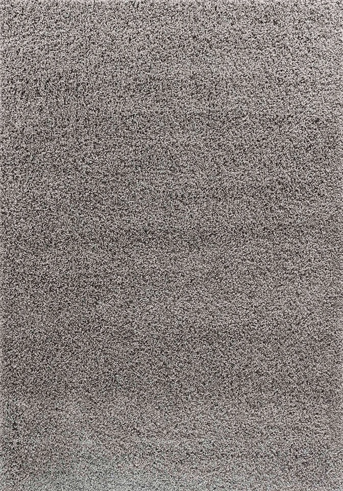 plain shaggy grey rug portrait