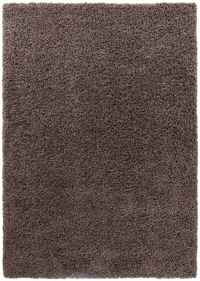 plain shaggy taupe rug portrait