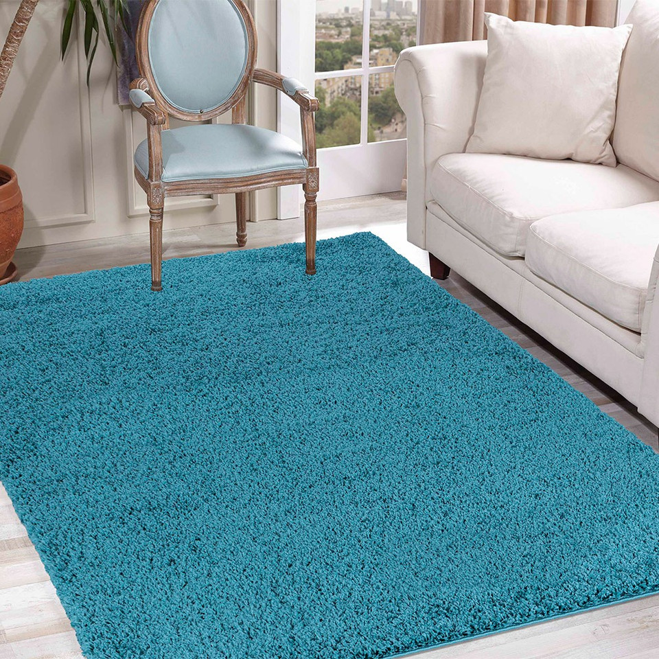plain shaggy teal rug in a living room