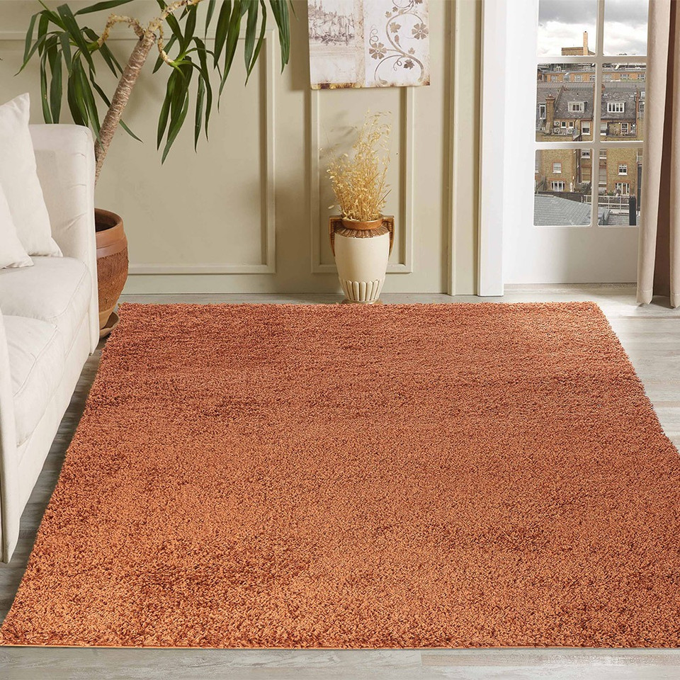 plain shaggy terracotta rug in a living room