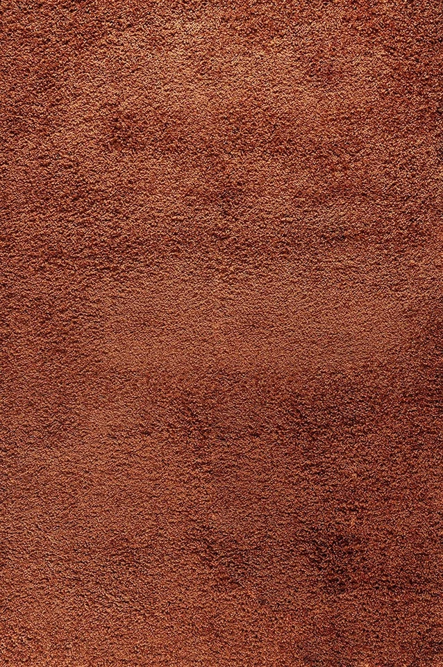 plain shaggy terracotta rug portrait