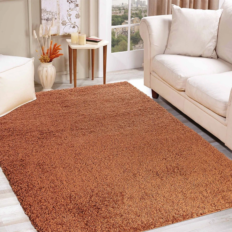 plain shaggy terracotta rug in a living room