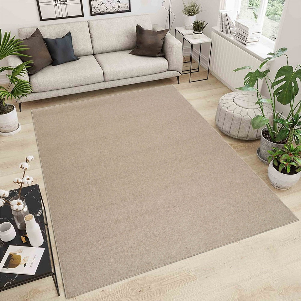 plain low pile light beige rug in a living room with a wooden floor