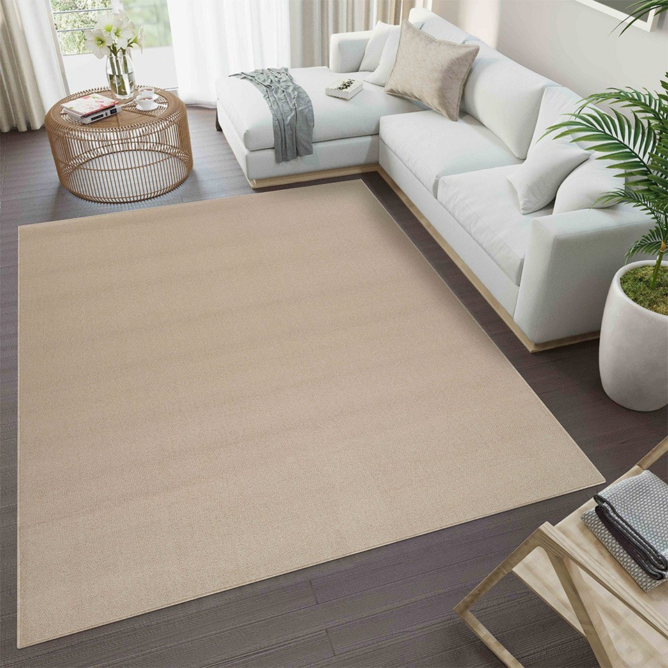 plain low pile light beige rug in a living room with a dark floor