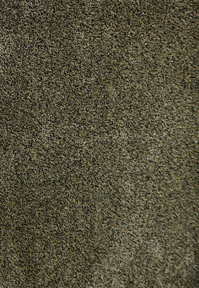 brown dirt trapper doormat portrait