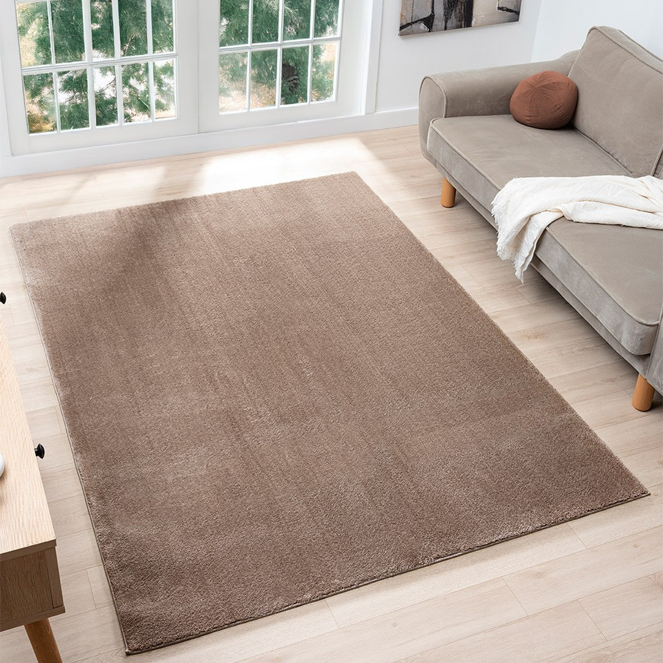 plain beige rug room