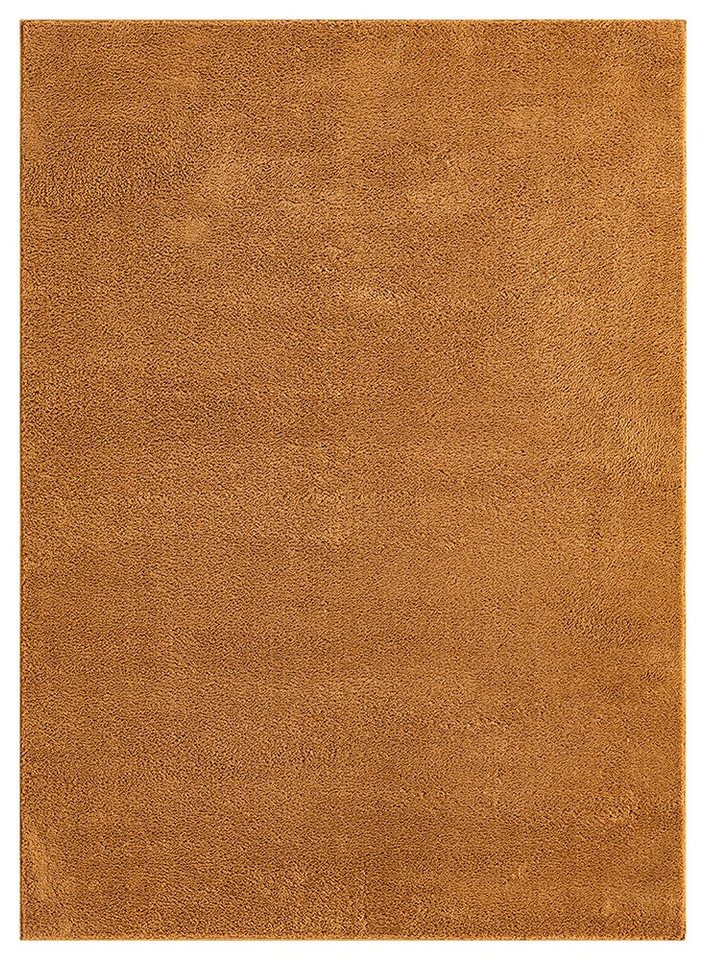 plain gold rug portrait