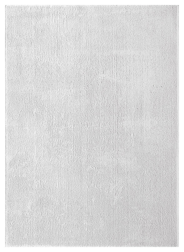 plain silver rug portrait