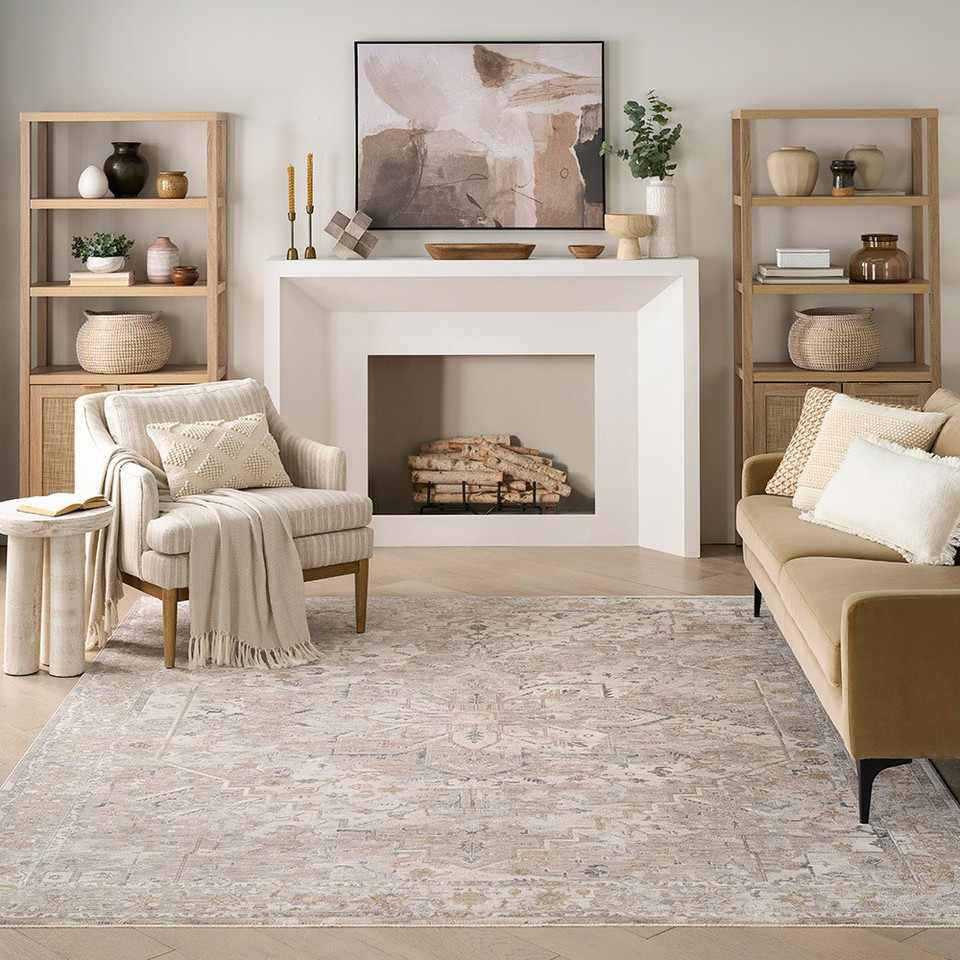 ivory traditional rug in a living room with natural decor