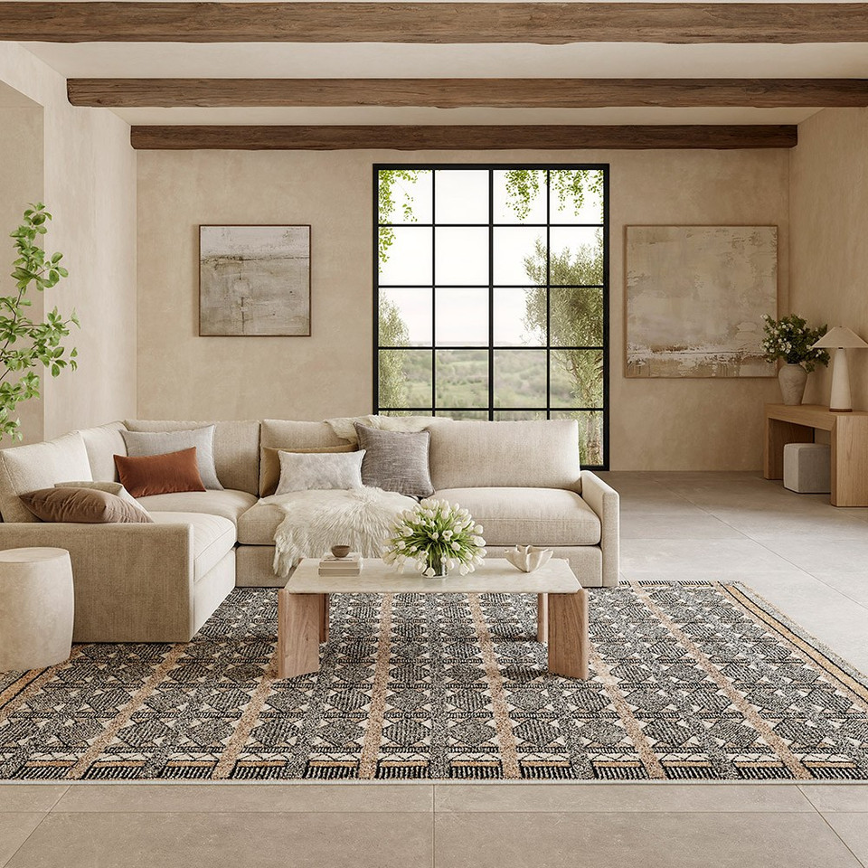 beige black geometric rug in a living room