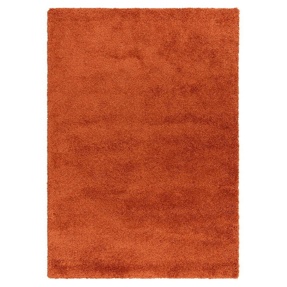 orange shaggy rug portrait