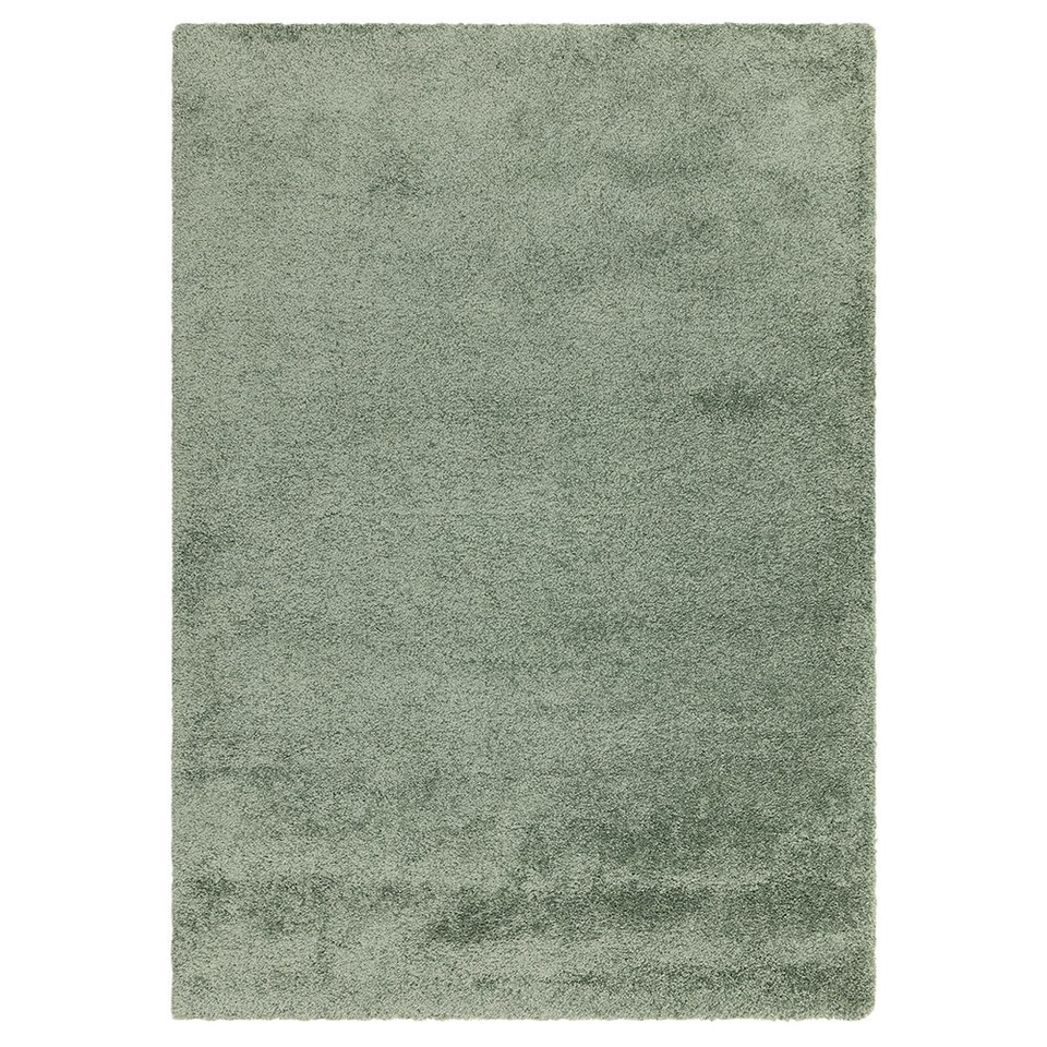 sage shaggy rug portrait