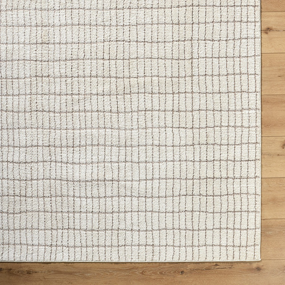 ivory taupe rug closeup corner on wood floor