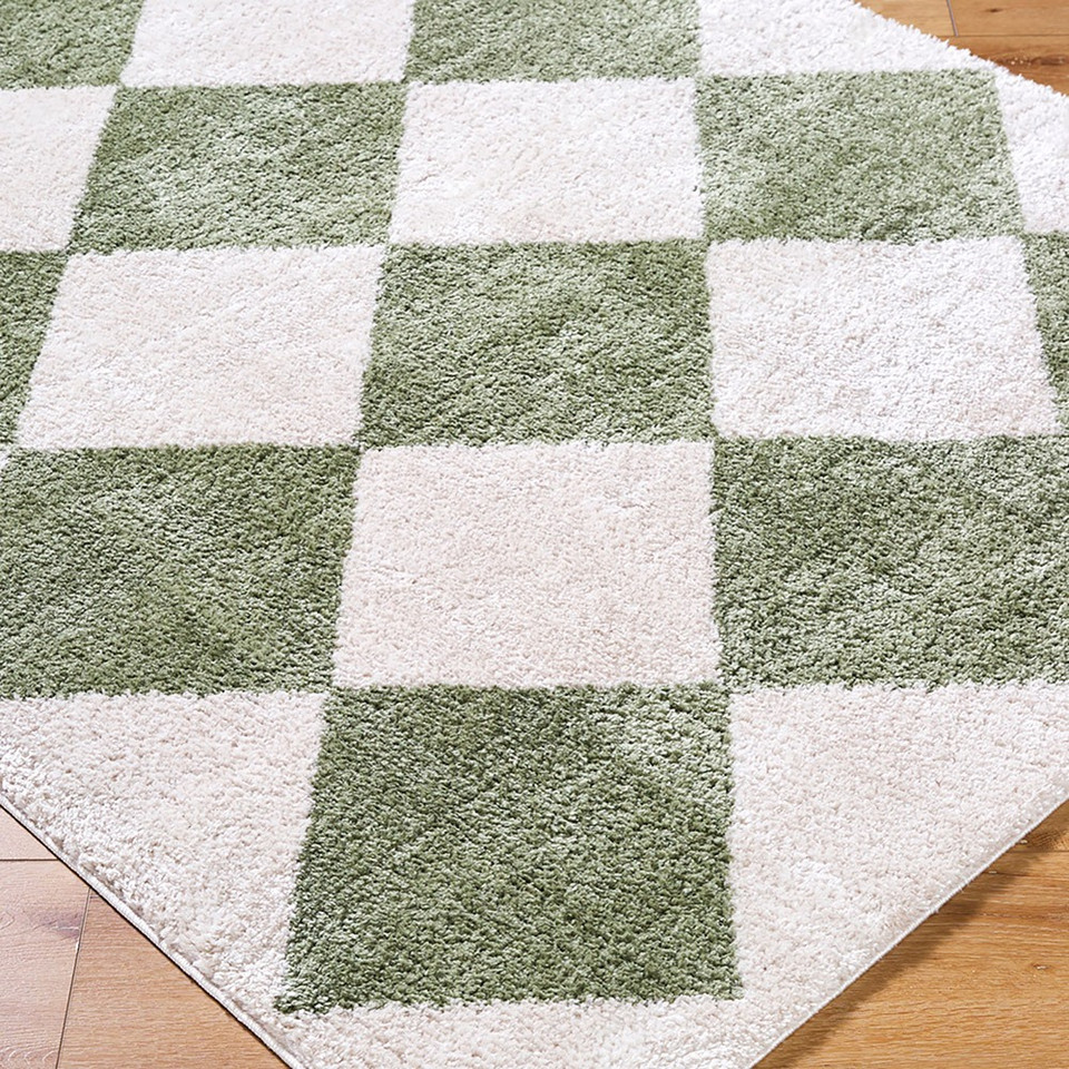 green diamond shaggy rug closeup corner on wood floor