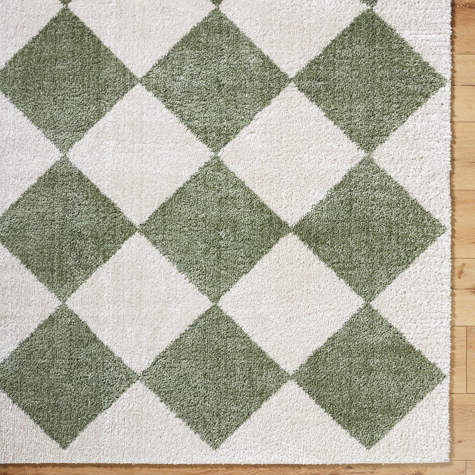 green diamond shaggy rug closeup corner on wood floor