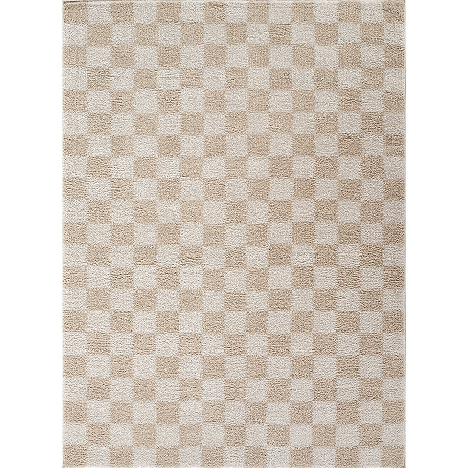 beige checker shaggy rug portrait