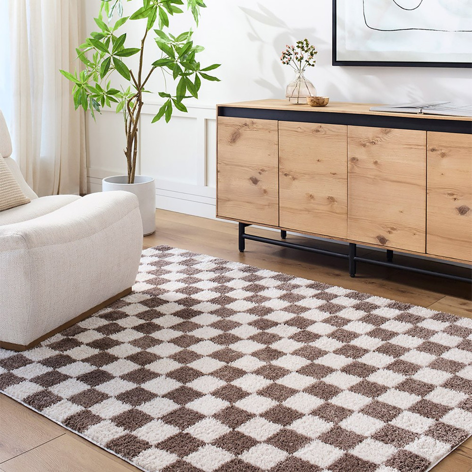brown checker shaggy rug in a room with matching decor