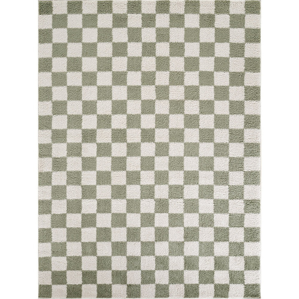 green checker shaggy rug portrait