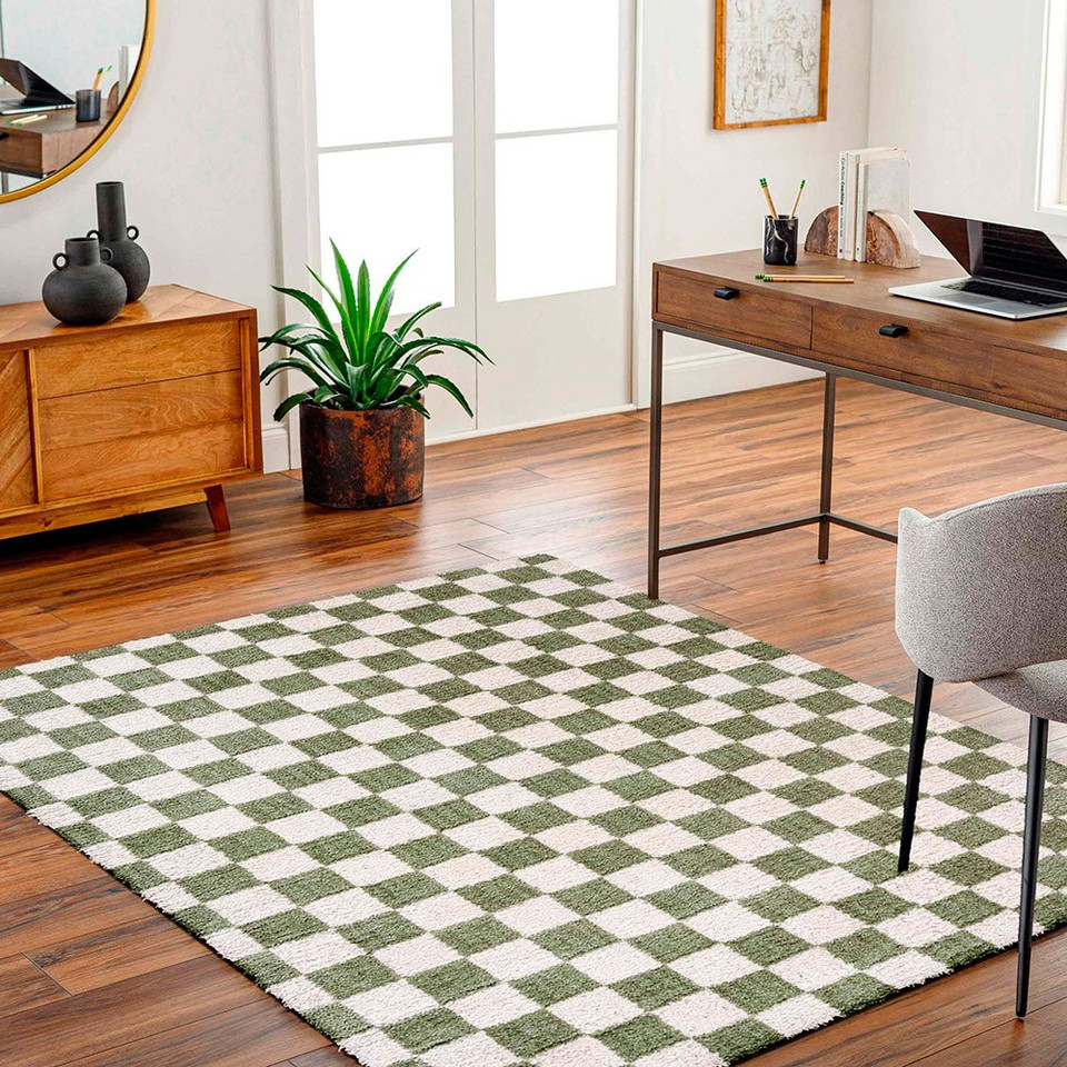 green checker shaggy rug in a room with matching decor